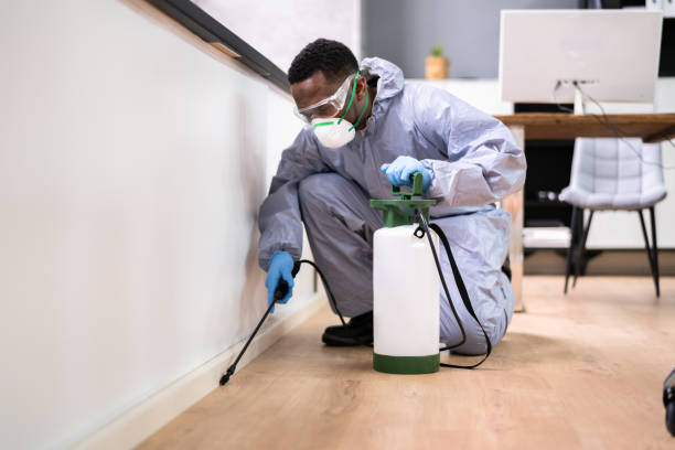 Emergency Pest Control Services in Runaway Bay, TX